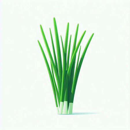 Vector illustration of a bunch of green onion isolated on white background.のイラスト素材