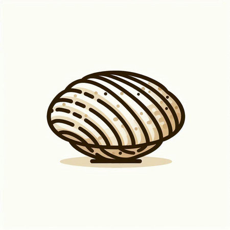 Illustration of a shell on a white background. Vector illustration.のイラスト素材