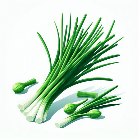 Green onion on a white background. Vector illustration. Eps 10.のイラスト素材