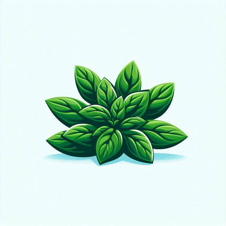 Leafs of mint on a blue background. Vector illustration.のイラスト素材