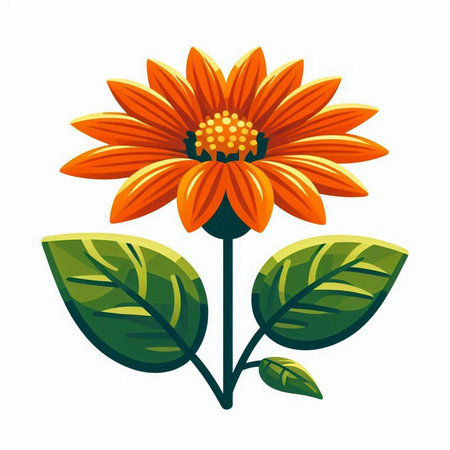 Orange flower with green leaves on a white background. Vector illustration.のイラスト素材