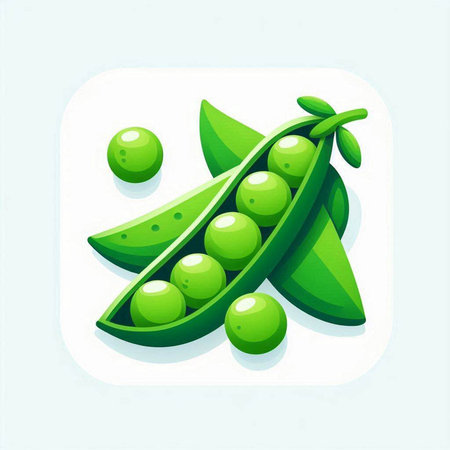 Green peas icon on white background. Realistic vector illustration of green peas icon.のイラスト素材