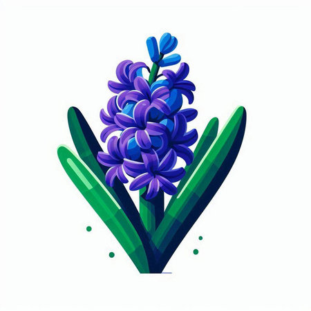 Vector illustration of blue hyacinth flower isolated on white background.のイラスト素材