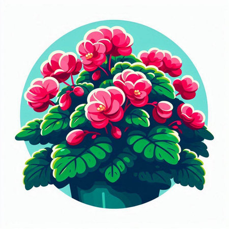 Flowering red geranium on a white background. Vector illustration.のイラスト素材