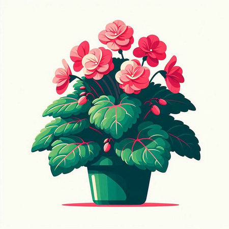 Flowerpot with geraniums on white background. Vector illustration.のイラスト素材