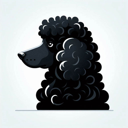 Black poodle isolated on white background. Vector illustration. Eps 10.のイラスト素材