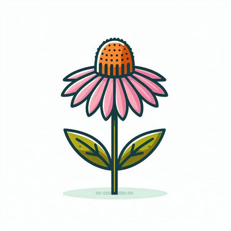 Echinacea flower icon. Echinacea flower vector illustration.のイラスト素材