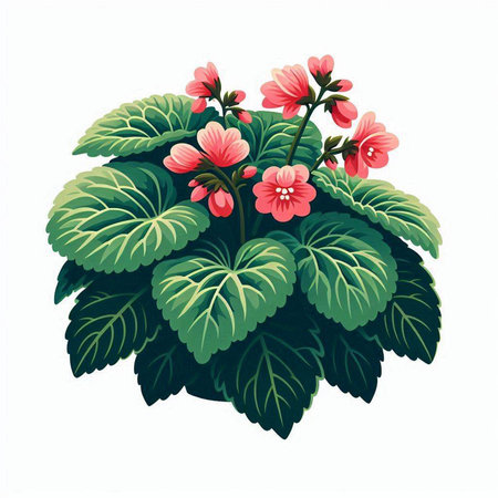 Geranium in a pot isolated on white background. Vector illustration.のイラスト素材