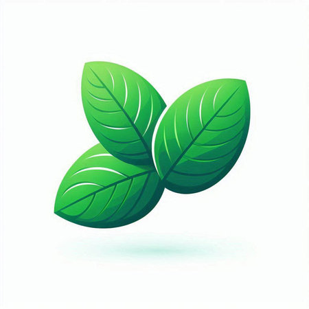 Mint leaves icon. Vector illustration. Isolated on white background.のイラスト素材