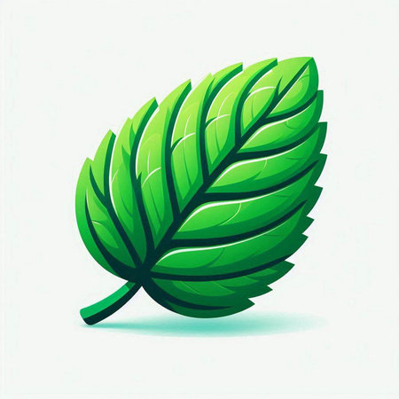 Mint leaf icon. Vector illustration isolated on a white background.のイラスト素材
