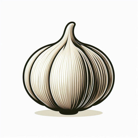 Garlic isolated on white background. Vector illustration. Eps 10.のイラスト素材