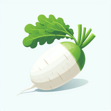 White radish with green leaves isolated on white background. Vector illustration.のイラスト素材