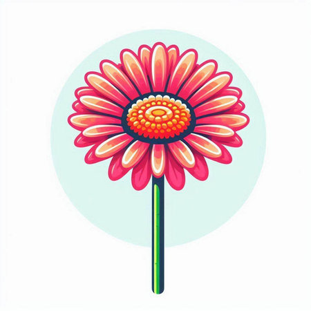 Pink gerbera flower on a white background. Vector illustration.のイラスト素材