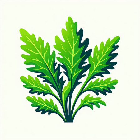 Green arugula leaves on a white background. Vector illustration.のイラスト素材