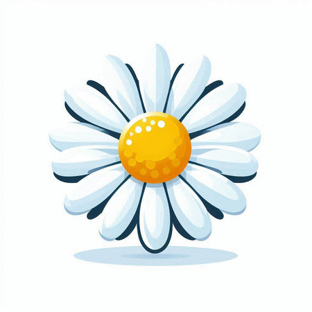 Daisy flower isolated on white background. Vector illustration. Eps 10.のイラスト素材