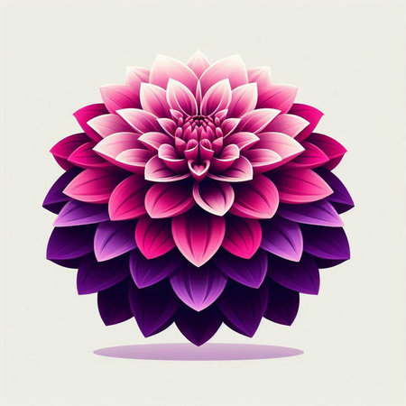Beautiful pink dahlia on gray background. Vector illustration.のイラスト素材