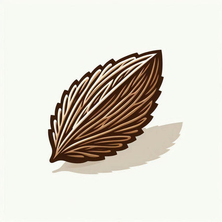 Illustration of a brown leaf on a white background with shadow.のイラスト素材