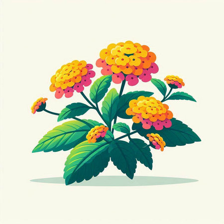 Flowering lantana isolated on white background. Vector illustration.のイラスト素材