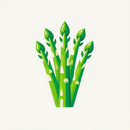 Green asparagus icon. Isolated on white background. Vector illustration.のイラスト素材
