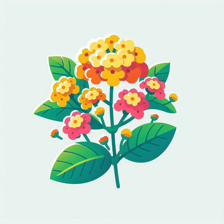 Illustration of Lantana camara flowers with green leaves.のイラスト素材