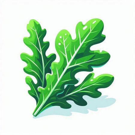 Fresh green arugula leaves isolated on white background. Vector illustration.のイラスト素材