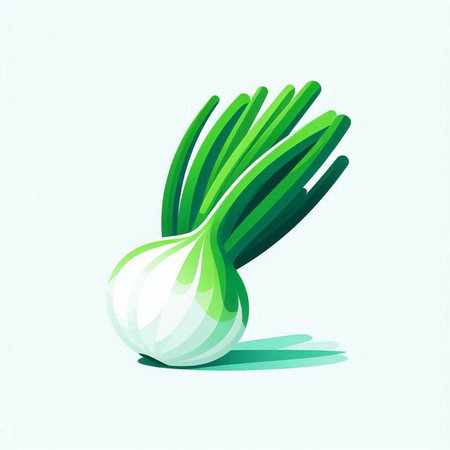 Illustration of fresh green onion on white background. Vector illustration.のイラスト素材