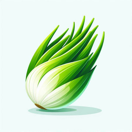 Illustration of a fresh green onion on a white background, vectorのイラスト素材