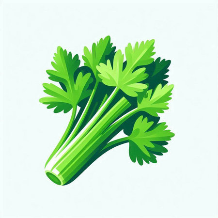 Celery isolated on white background. Vector illustration. Eps 10.のイラスト素材