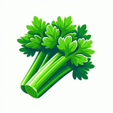 Celery isolated on white background. Vector illustration. Eps 10.のイラスト素材