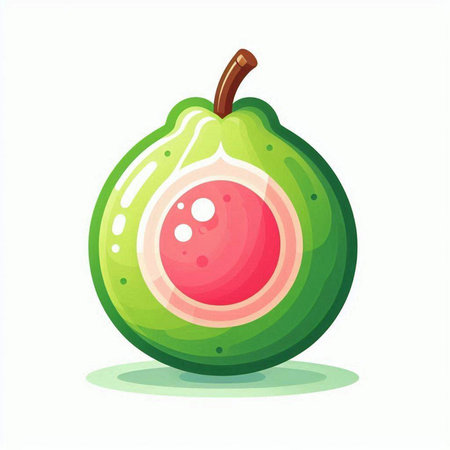 Avocado fruit isolated on white background. Cartoon style vector illustration.のイラスト素材