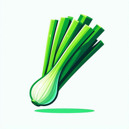 Fresh green onion. Vector illustration. Isolated on white background.のイラスト素材