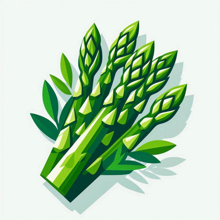 Illustration of green fresh asparagus with shadow on white backgroundのイラスト素材