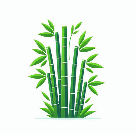 bamboo vector illustration. green bamboo isolated on a white background.のイラスト素材