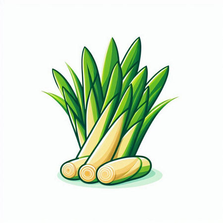 lemon grass vector illustration isolated on white background. lemongrass iconのイラスト素材