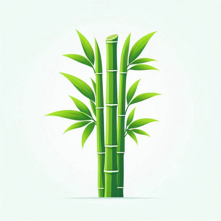 Green bamboo isolated on a white background. Vector illustration for your designのイラスト素材