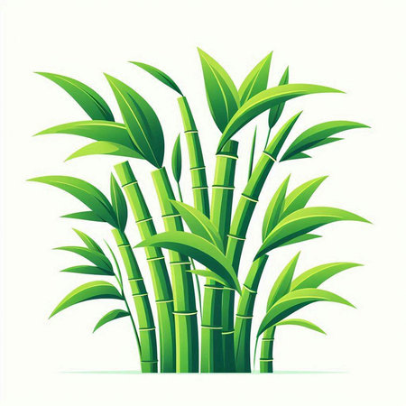 Vector illustration of green bamboo stems and leaves isolated on white background.のイラスト素材