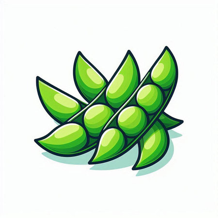 Green soybeans isolated on a white background. Vector illustration in cartoon style.のイラスト素材