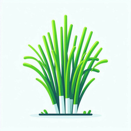 Green onion in a pot. Vector illustration on a light background.のイラスト素材