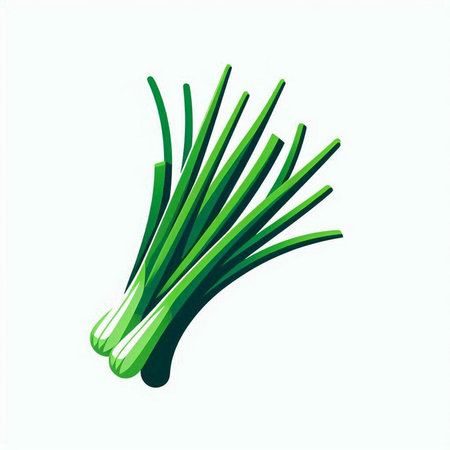 Vector illustration of a bunch of green onion isolated on white background.のイラスト素材