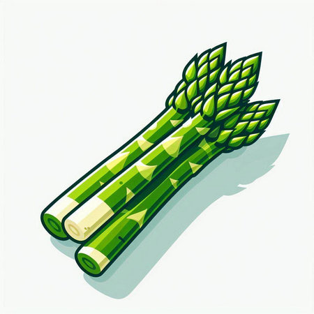 Green asparagus on white background. Vector illustration. Eps 10のイラスト素材
