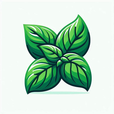 Illustration of fresh basil leafs, organic food, healthy natural product, vector iconのイラスト素材