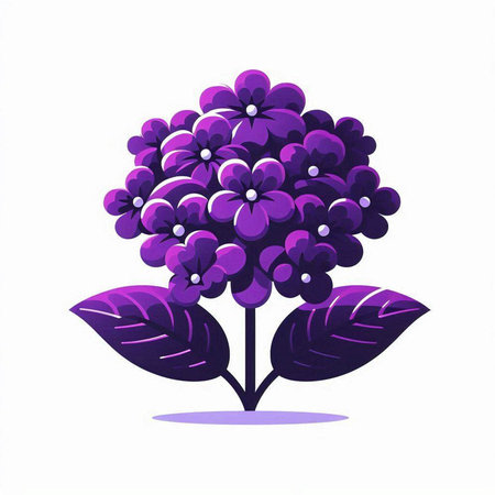 Purple hydrangea on a white background. Vector illustration.のイラスト素材