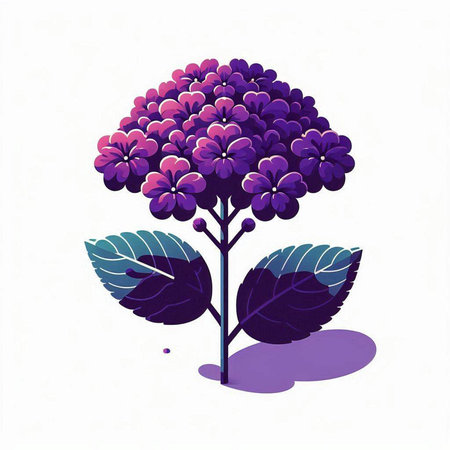 Hydrangea flower on a white background. Watercolor illustration.のイラスト素材