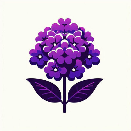Purple hydrangea flower on white background. Vector illustration.のイラスト素材