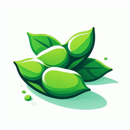 Green soybean icon isolated on white background. Edamame vector illustration.のイラスト素材