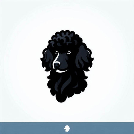 Portrait of a black poodle on a white background. Vector illustration.のイラスト素材