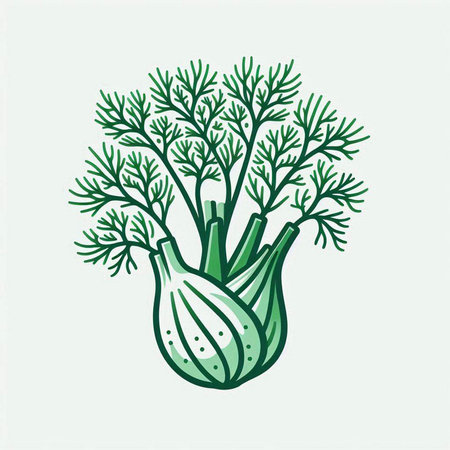 Fennel, vector illustration. Hand drawn doodle style.のイラスト素材