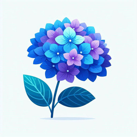 Blue hydrangea on a white background. Vector illustration.のイラスト素材