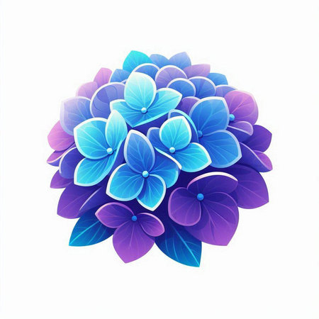 Blue hydrangea on the white background. Vector illustration.のイラスト素材