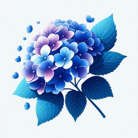 Blue hydrangea on a white background. Vector illustration.のイラスト素材